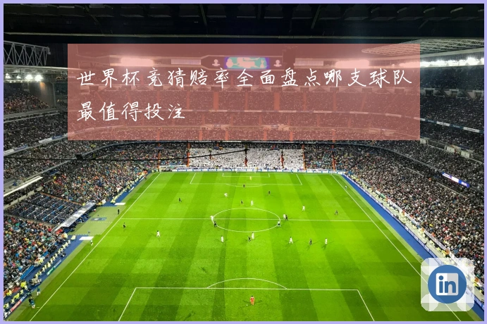 世界杯竞猜赔率全面盘点哪支球队最值得投注