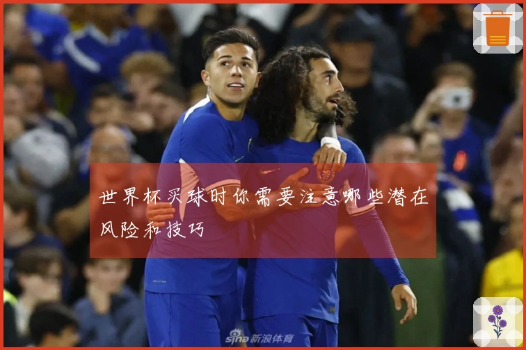 世界杯买球时你需要注意哪些潜在风险和技巧