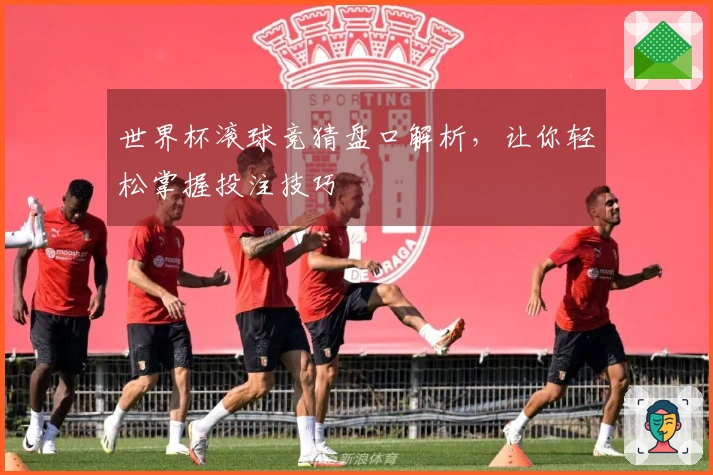 世界杯滚球竞猜盘口解析，让你轻松掌握投注技巧