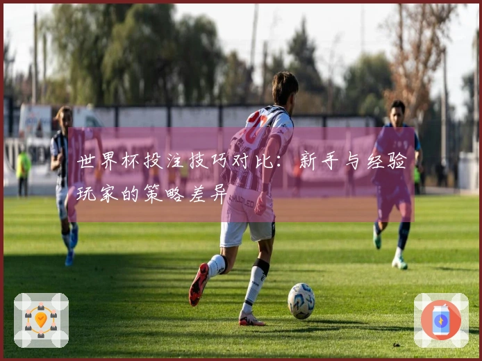世界杯投注技巧对比：新手与经验玩家的策略差异