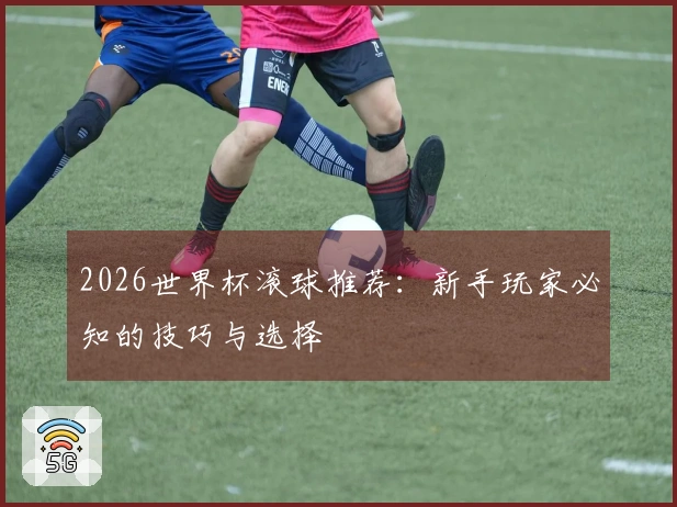 2026世界杯滚球推荐：新手玩家必知的技巧与选择