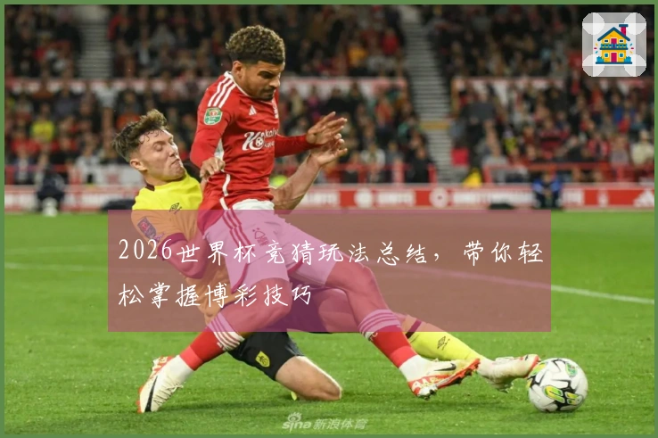 2026世界杯竞猜玩法总结，带你轻松掌握博彩技巧