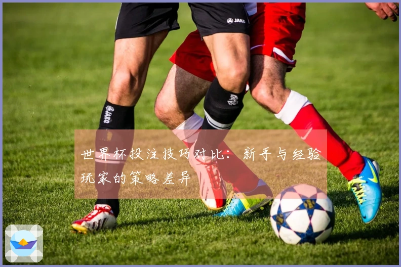 世界杯投注技巧对比：新手与经验玩家的策略差异