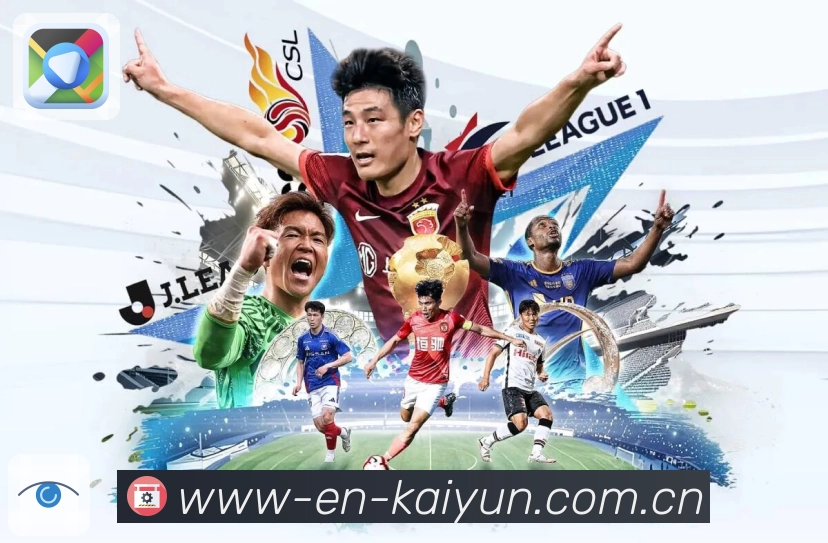 开云内容聚合App